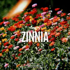 Zinnia - Single by Rooey album reviews, ratings, credits
