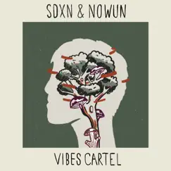 Vibes Cartel - Single by SDXN & Nowun album reviews, ratings, credits