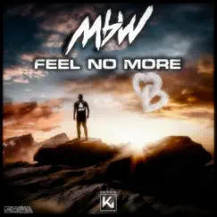 Feel No More (Extended) Song Lyrics