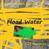 Flood Water album lyrics, reviews, download