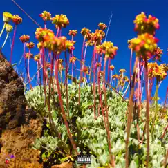 Grow (feat. Mxtu) - Single by Tonedbone album reviews, ratings, credits
