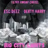 Big City Lights (feat. Derty Harry) - Single album lyrics, reviews, download