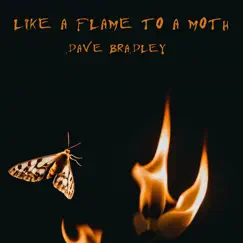 Like a Flame to a Moth - Single by Dave Bradley album reviews, ratings, credits