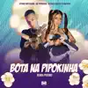 Bota na Pipokinha (feat. Dj Rafinha) [Remix Piseiro] song lyrics