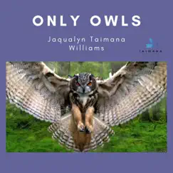 Only Owls Song Lyrics