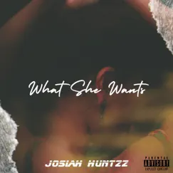 What She Wants - Single by Josiah Huntzz album reviews, ratings, credits