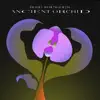 Ancient Orchid - Single album lyrics, reviews, download