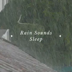 Starry Night, Rain Sounds Song Lyrics