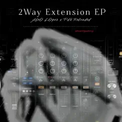 2way Extension (feat. Pdk Reloaded) Song Lyrics