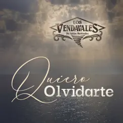 Quiero Olvidarte - Single by Los Vendavales de Adán Meléndez album reviews, ratings, credits