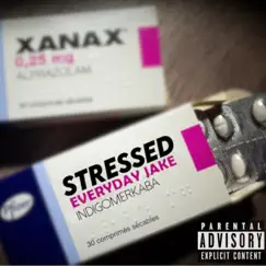 Stressed (feat. Indigomerkaba) Song Lyrics