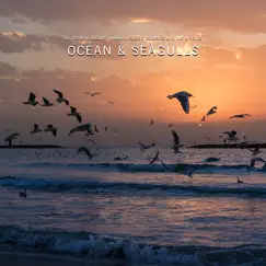 Ocean & Seagulls by Dr. John Douglas, Naturalis & Sleep Sounds album reviews, ratings, credits
