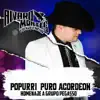 Popurrí Puro Acordeon Homenaje a Grupo Pegasso - Single album lyrics, reviews, download