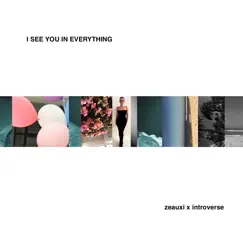 I See You in Everything (feat. Introverse) Song Lyrics