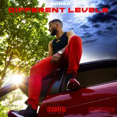Different Levels - Single by Soner album reviews, ratings, credits