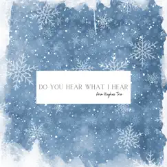 Do You Hear What I Hear - Single by Arin Hughes Trio album reviews, ratings, credits