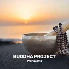 Pranayama - Single by Buddha Project album reviews, ratings, credits