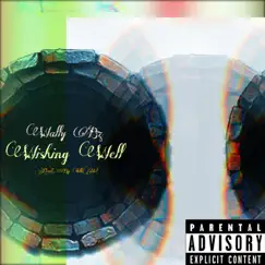 Wishing Well - Single by Wally Bz album reviews, ratings, credits