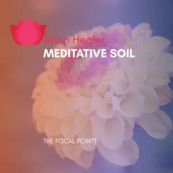 Meditative Soil - Single by The Focal Pointt album reviews, ratings, credits