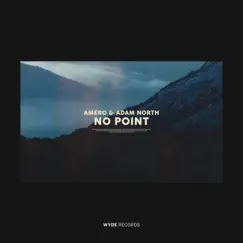 No Point - Single by Amero & Adam North album reviews, ratings, credits