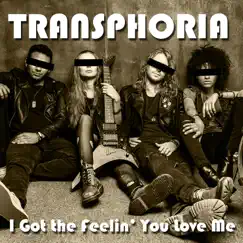 I Got the Feelin' you Love Me - Single by Transphoria album reviews, ratings, credits