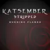 Burning Flames (Stripped) - Single album lyrics, reviews, download