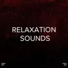 !!!" Relaxation Sounds "!!! album lyrics, reviews, download