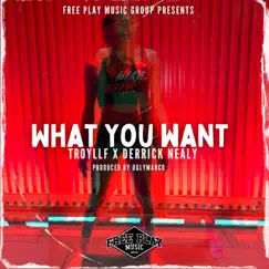 What You Want (feat. UglyMarco) - Single by Troyllf & Derrick Nealy album reviews, ratings, credits