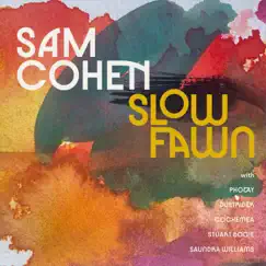 Slow Fawn by Sam Cohen album reviews, ratings, credits