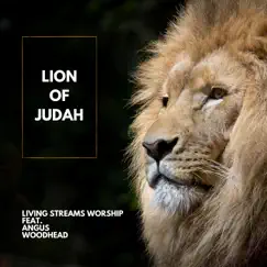 Lion of Judah (feat. Angus Woodhead) Song Lyrics