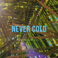 Never Cold Song Lyrics