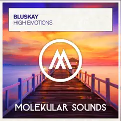 High Emotions - Single by Bluskay album reviews, ratings, credits