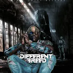 Different Breed by Rocky Lo album reviews, ratings, credits