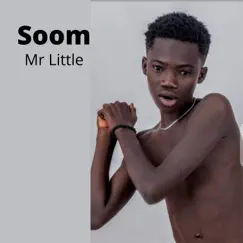 Soom - Single by Mr. Little album reviews, ratings, credits
