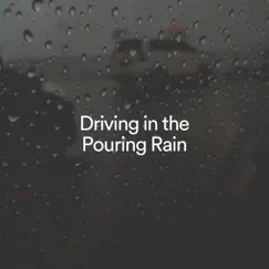 Driving in the Pouring Rain by Rain Recordings album reviews, ratings, credits
