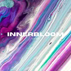 Innerbloom (Vip Mix) Song Lyrics