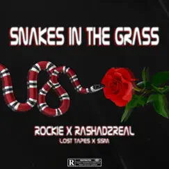 Snakes in the grass (feat. Rashad2Real) Song Lyrics