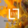 Meaning of Love (feat. Lucía) - Single album lyrics, reviews, download
