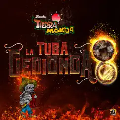 La Tuba Gedionda Song Lyrics