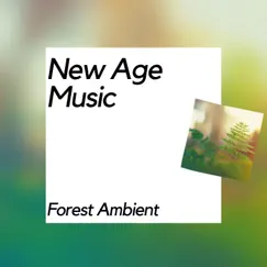 New Age Music, Forest Ambient by Nature Meditation Channel, Meditation Music & Meditation & Stress Relief Therapy album reviews, ratings, credits