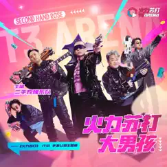 火力苏打大男孩 - Single by Second Hand Rose album reviews, ratings, credits