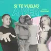 Si Te Vuelvo a Ver - Single album lyrics, reviews, download