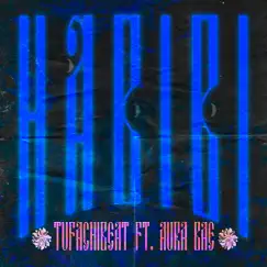 Habibi - Single by TÜFACHI BEAT & Aura BAE album reviews, ratings, credits