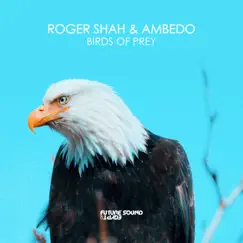Birds of Prey - Single by Roger Shah & Ambedo album reviews, ratings, credits