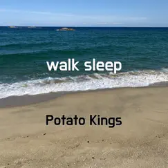 Walk Sleep Song Lyrics