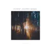 Forest Journey(Remix) - Single album lyrics, reviews, download