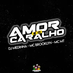 Amor e o Caralho - Single by Dj Medinna, Mc Brooklyn & MC MT album reviews, ratings, credits