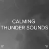 !!!" Calming Thunder Sounds "!!! album lyrics, reviews, download