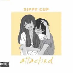Attached - Single by Sippy Cup album reviews, ratings, credits