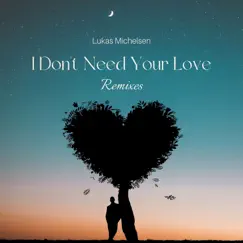 I Dont Need Your Love (IV Remix) Song Lyrics